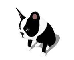 Cute & Chic Boston Terrier Dog sticker #13393919