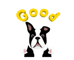 Cute & Chic Boston Terrier Dog sticker #13393920