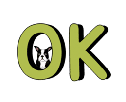 Cute & Chic Boston Terrier Dog sticker #13393922