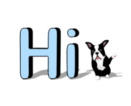 Cute & Chic Boston Terrier Dog sticker #13393924