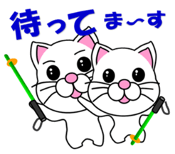 A white cat which skis sticker #13394513