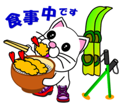 A white cat which skis sticker #13394537