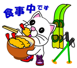 A white cat which skis sticker #13394537