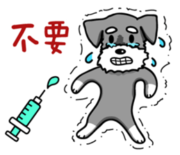 A Miniature Schnauzer (old skin) sticker #13397329