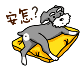 A Miniature Schnauzer (old skin) sticker #13397330