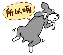 A Miniature Schnauzer (old skin) sticker #13397331