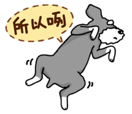 A Miniature Schnauzer (old skin) sticker #13397331