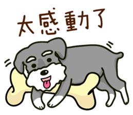 A Miniature Schnauzer (old skin) sticker #13397334