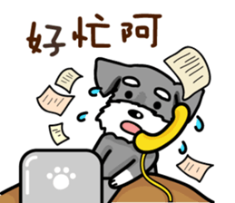 A Miniature Schnauzer (old skin) sticker #13397335