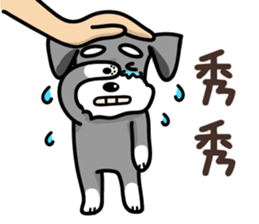 A Miniature Schnauzer (old skin) sticker #13397336