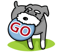 A Miniature Schnauzer (old skin) sticker #13397337