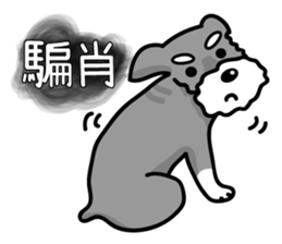 A Miniature Schnauzer (old skin) sticker #13397341