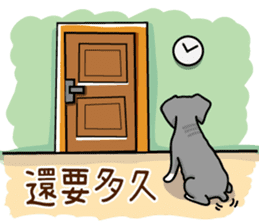 A Miniature Schnauzer (old skin) sticker #13397342