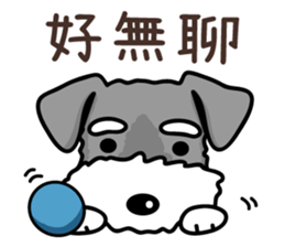 A Miniature Schnauzer (old skin) sticker #13397346