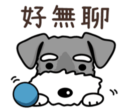 A Miniature Schnauzer (old skin) sticker #13397346