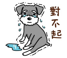 A Miniature Schnauzer (old skin) sticker #13397353