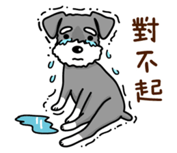 A Miniature Schnauzer (old skin) sticker #13397353