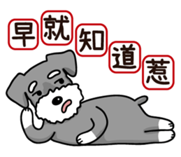 A Miniature Schnauzer (old skin) sticker #13397355