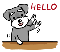 A Miniature Schnauzer (old skin) sticker #13397356