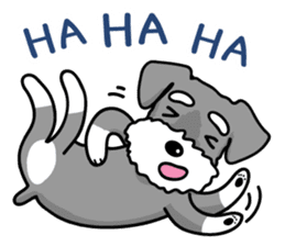 A Miniature Schnauzer (old skin) sticker #13397357