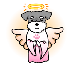 A Miniature Schnauzer (old skin) sticker #13397360