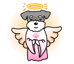 A Miniature Schnauzer (old skin) sticker #13397360