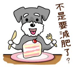 A Miniature Schnauzer (old skin) sticker #13397361