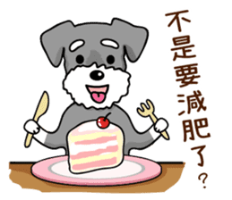A Miniature Schnauzer (old skin) sticker #13397361