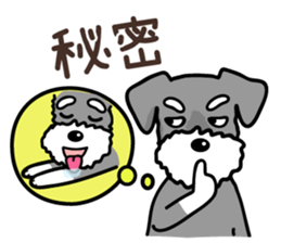 A Miniature Schnauzer (old skin) sticker #13397362