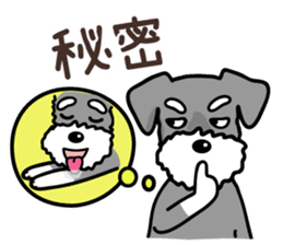 A Miniature Schnauzer (old skin) sticker #13397362