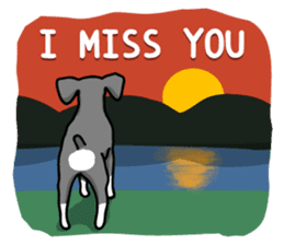 A Miniature Schnauzer (old skin) sticker #13397363