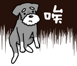 A Miniature Schnauzer (old skin) sticker #13397364