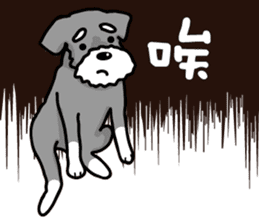 A Miniature Schnauzer (old skin) sticker #13397364