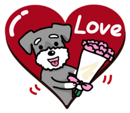A Miniature Schnauzer (old skin) sticker #13397365