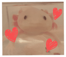 my axolotl sticker #13398331
