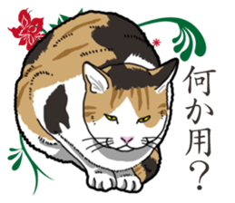 Daily Calico cat sticker #13399502