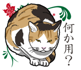 Daily Calico cat sticker #13399502