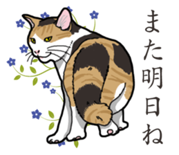 Daily Calico cat sticker #13399504