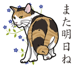 Daily Calico cat sticker #13399504