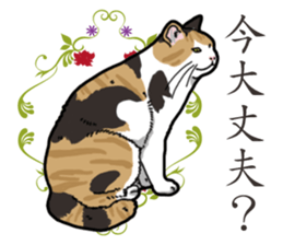 Daily Calico cat sticker #13399505