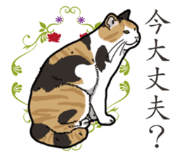 Daily Calico cat sticker #13399505
