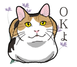 Daily Calico cat sticker #13399506