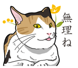 Daily Calico cat sticker #13399507