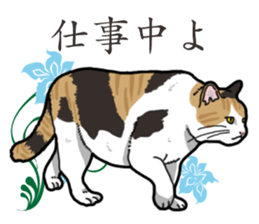 Daily Calico cat sticker #13399508