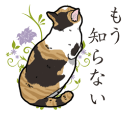 Daily Calico cat sticker #13399510