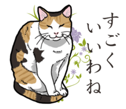 Daily Calico cat sticker #13399512