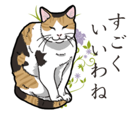 Daily Calico cat sticker #13399512
