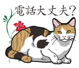 Daily Calico cat sticker #13399513