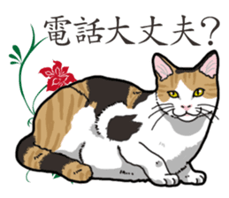 Daily Calico cat sticker #13399513
