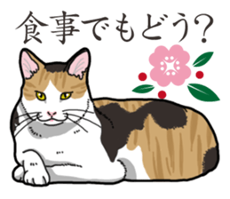 Daily Calico cat sticker #13399514